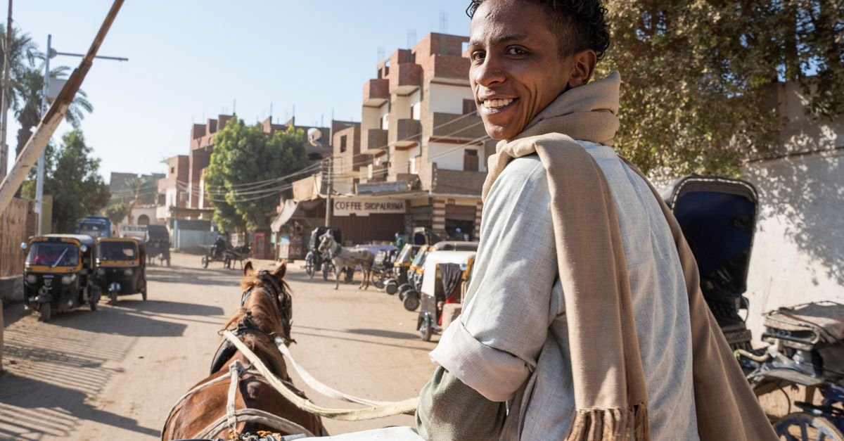 Aswan City Tour by Horse Carriage – photo 2