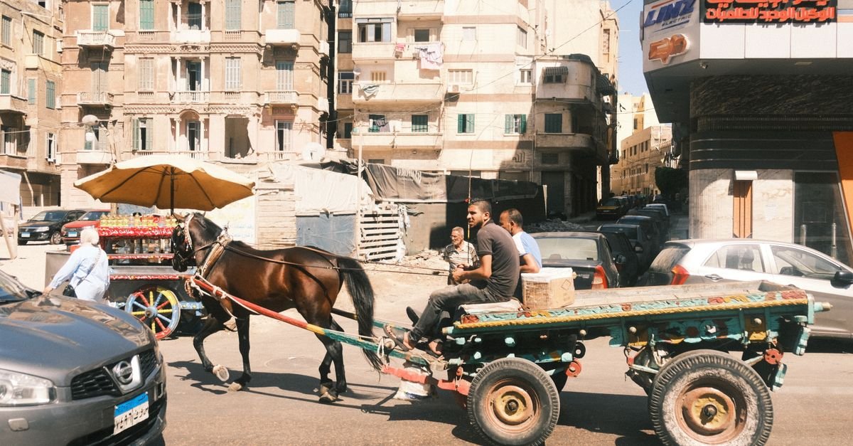 Aswan City Tour by Horse Carriage – photo 3