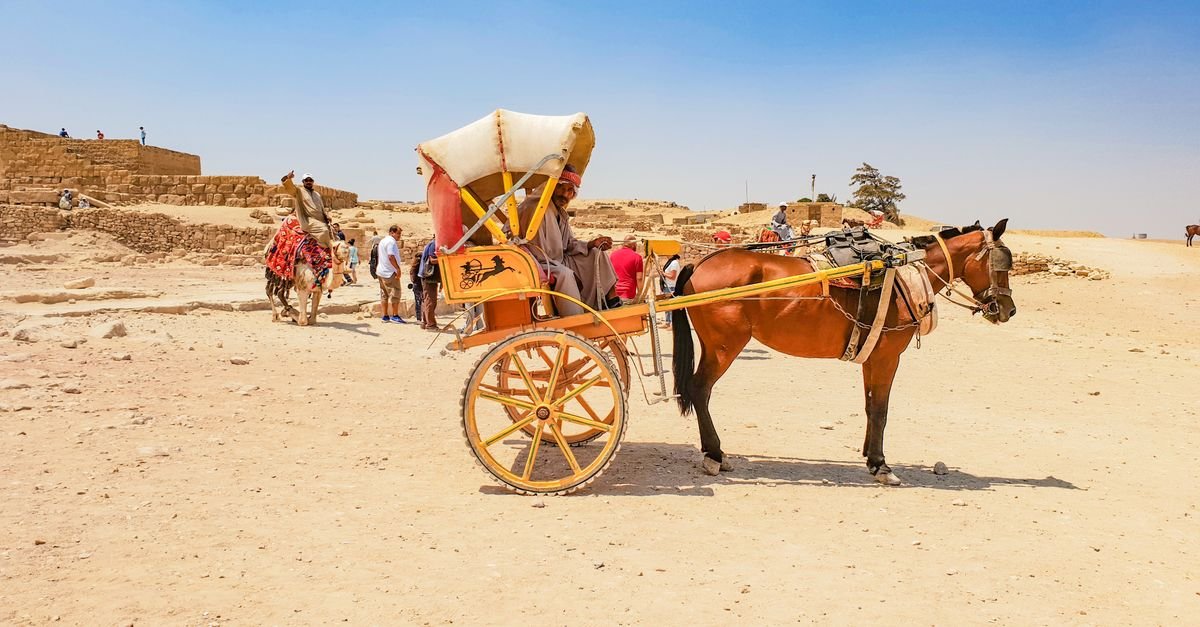 Aswan City Tour by Horse Carriage – photo 4