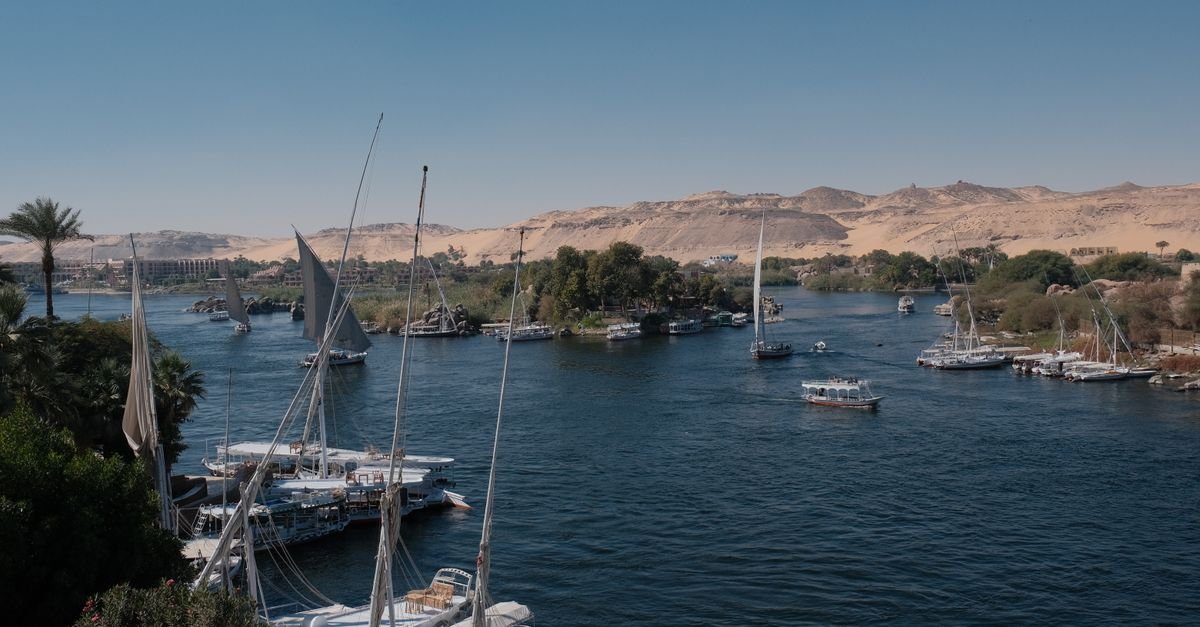 Felucca Sail to Kitchener's Botanical Island – photo 4