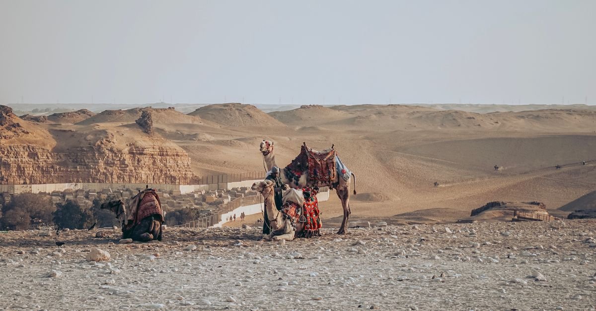 Luxor Desert Safari – photo 2