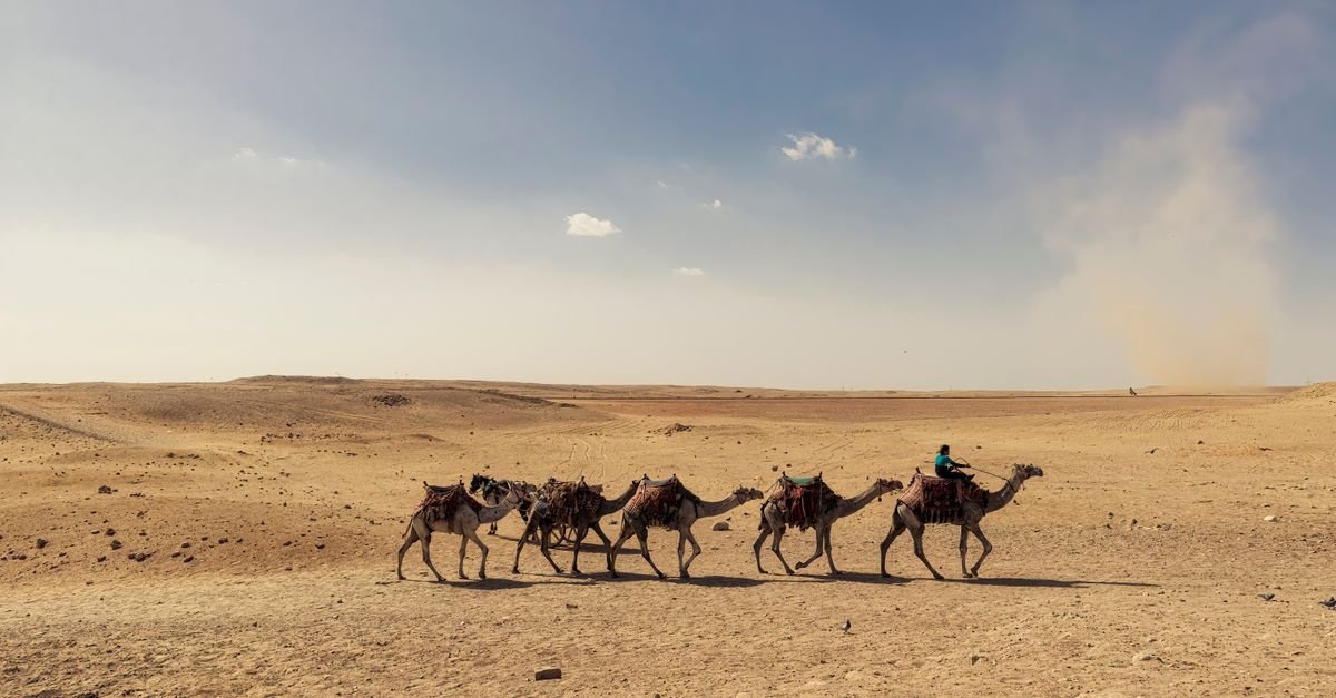 Luxor West Bank Camel Ride – photo 2