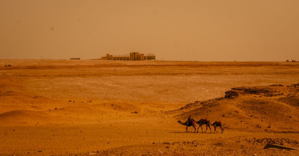 Luxor West Bank Camel Ride – photo 5