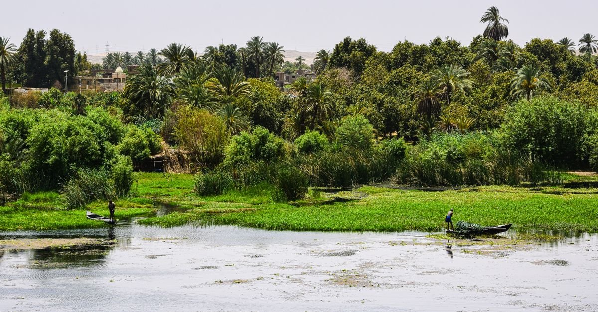 Private Transfer from Luxor to Aswan – photo 2